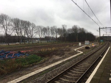 Bomenkap voor infrastructuur - www.waardevolgroen.nl