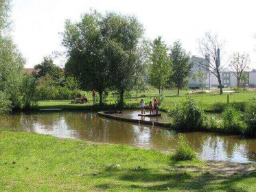 Zomer - www.waardevolgroen.nl