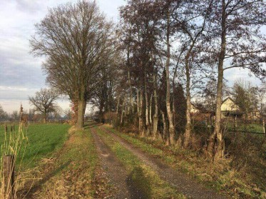 Oude groen - www.waardevolgroen.nl