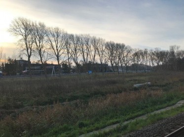 www.waardevolgroen.nl